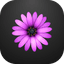 Open in TextMate icon